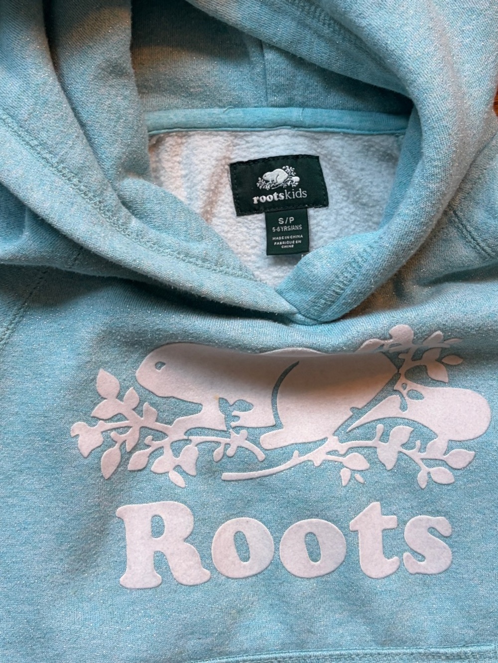 Roots Kids Metallic Shimmer Beaver Logo Hoodie - Aqua Blue / Mint - Size S (5-6) - Picture 3 of 5